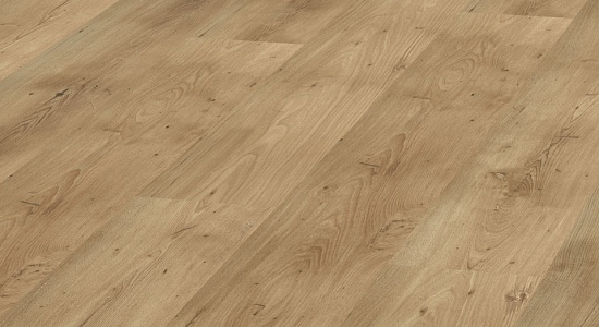 Кедр Ливанский D 3344