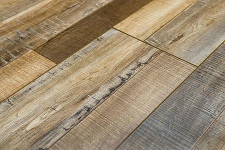 AQ 104 Дуб Кавказкий