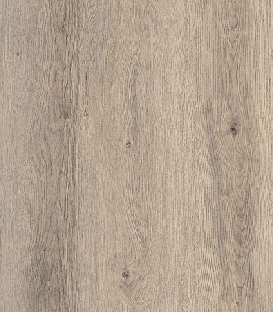 Дуб жемчужный FP952