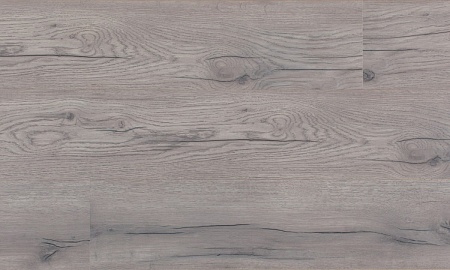 Дуб зимний 04331