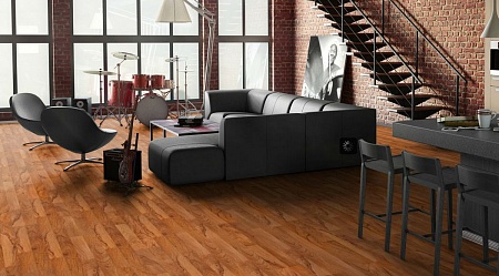 Молодой орех 504035082