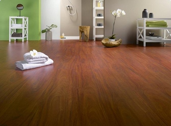 Дуссия Африканская C417