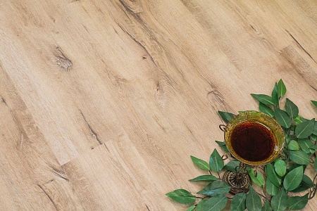 Дуб Мале FF-1969