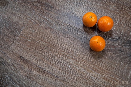 Дуб Брюгге 10-017