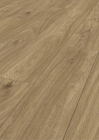 Дуб Букингемский К329