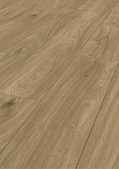 Дуб Букингемский К329