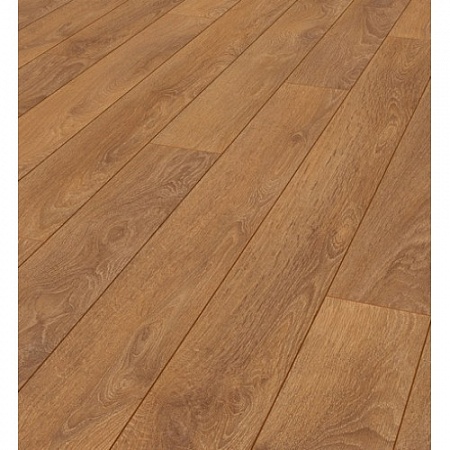 Дуб Харлех 8573