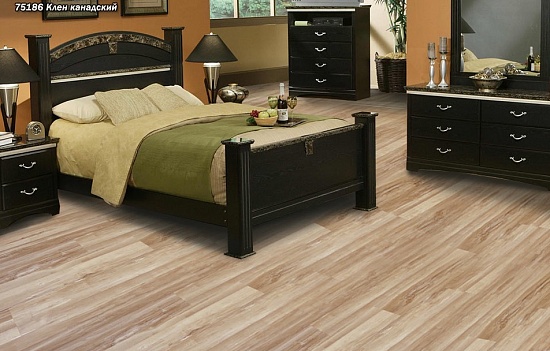 Клен канадский 75186