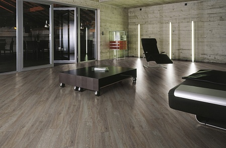 Дуб Робустус D4841