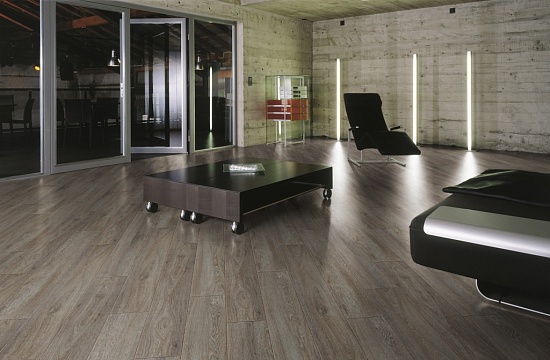 Дуб Робустус D4841