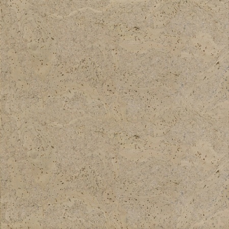 317v CN (CM3 317v CN)