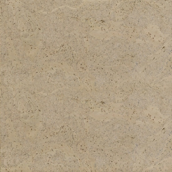 317v CN (CM3 317v CN)