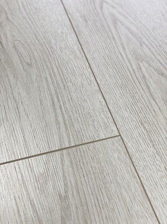 Дуб Тоскана