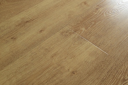 Дуб Ренессанс 12153