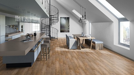 Браун 504418006