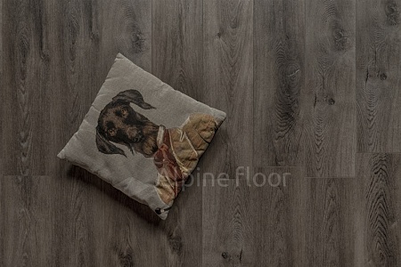 ECO 7-11 Дуб торфяной