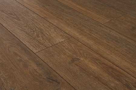 Дуб Тициан FP554