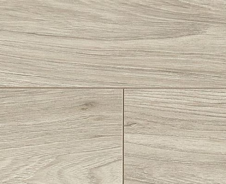 Орех Зевс D 3710