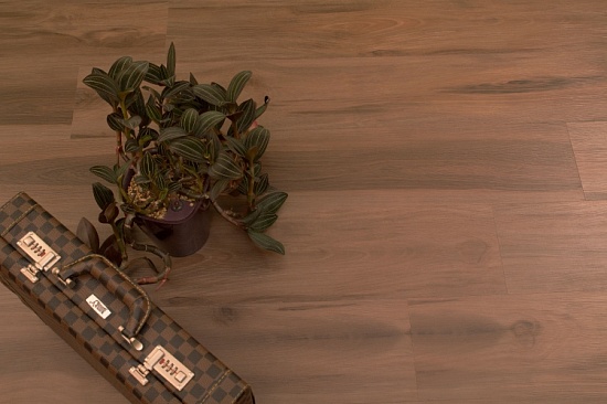 Груша Морис NOX-1529