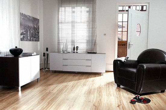 Клен Старый F107