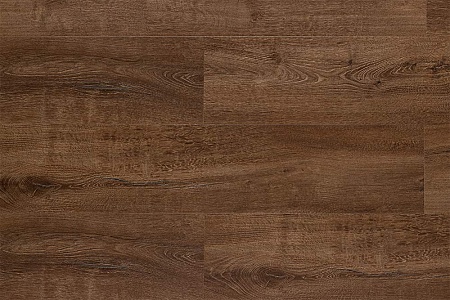 Chene de Provence BF10-3005-FR