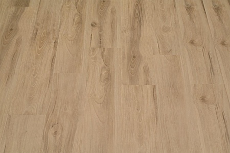 Груша Хиллари NOX-1564