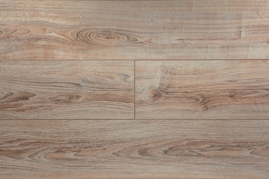 JT205 Дуб Коделли