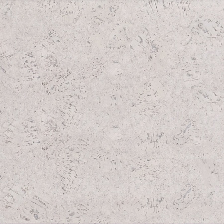 319v WN (PK3 319v WN-6.0)