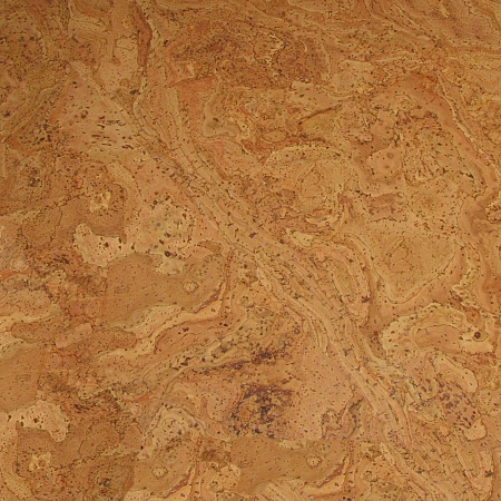 310v NN (CM3 310v NN)