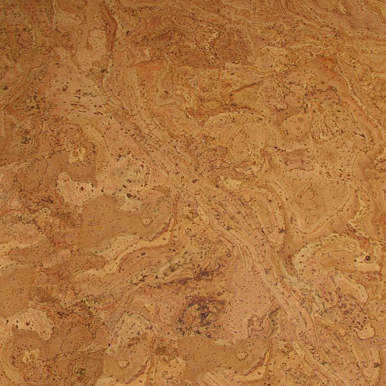 310v NN (CM3 310v NN)