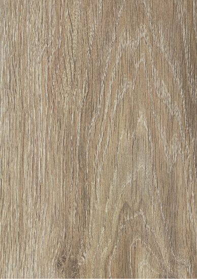 Дуб Испанский О401