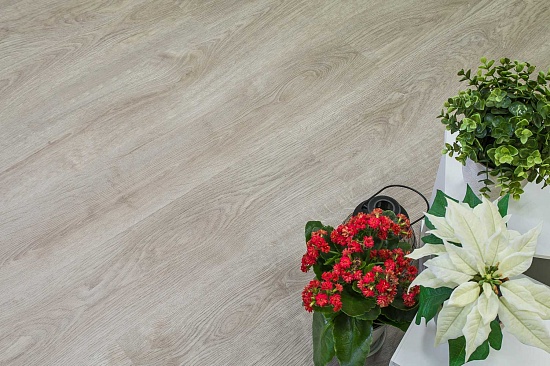 Дуб Малага FF-1979