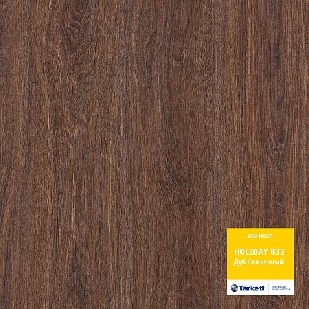 Дуб солнечный 
504022058