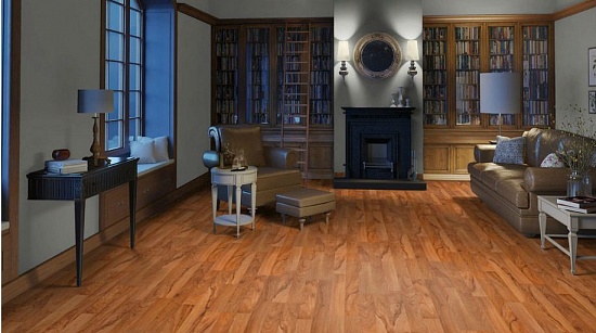 Молодой орех 504035082