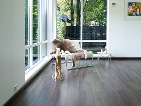 Дуб Королевский 8512