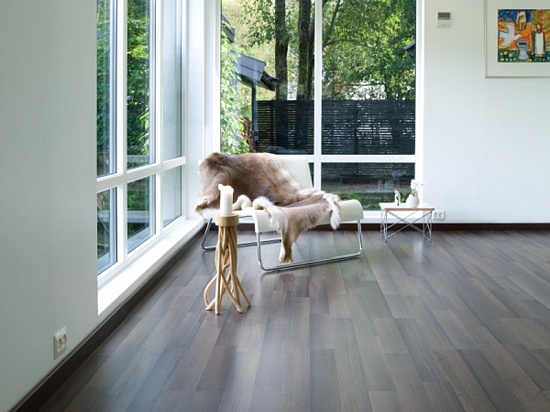 Дуб Королевский 8512