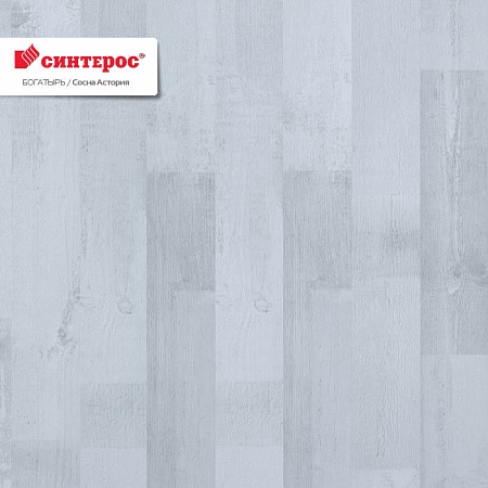 Сосна Астория