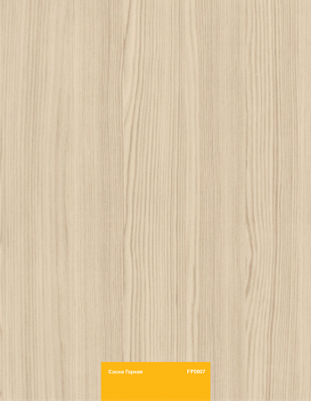 Сосна Горная FP0007