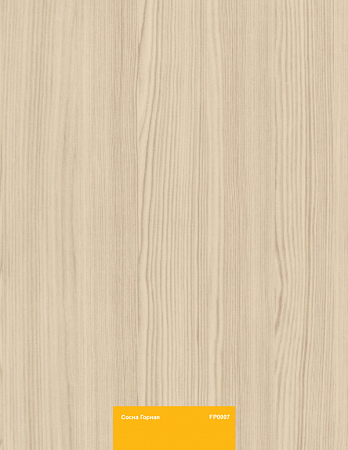 Сосна Горная FP0007