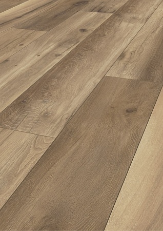 Дуб Дикий Запад К224