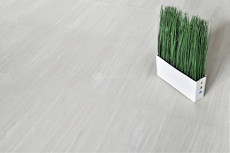 ECO 8-3 Лунный камень