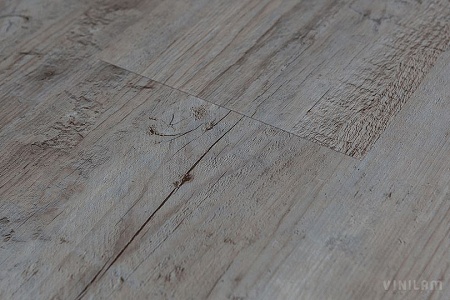 Дуб Льеж 10-015