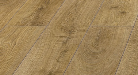 Дуб Парис D 3185