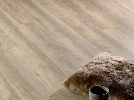 Дуб Прованс C456