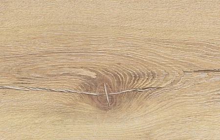 Старая Вена D1813