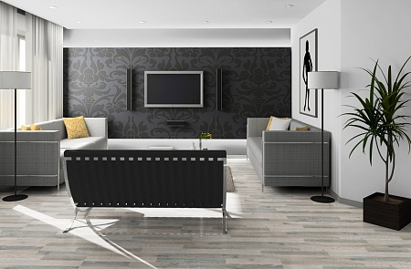 Дуб Серебряный 3066