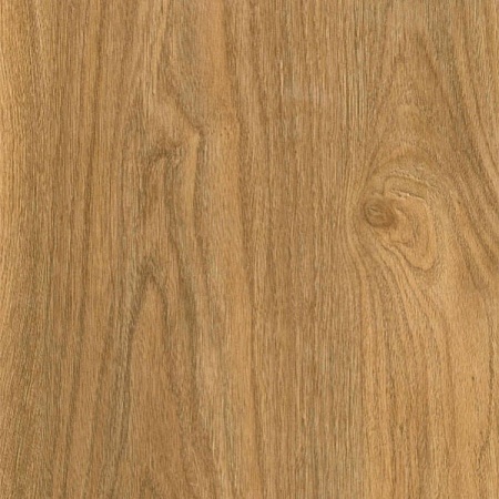 Монте Карло 504092030