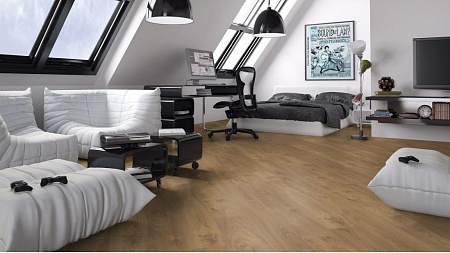 Дуб Гингер D 2026