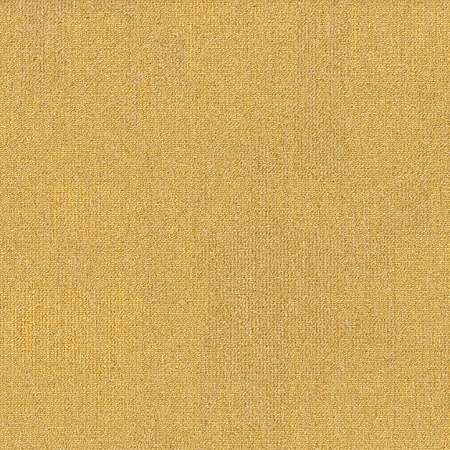 Teak 159