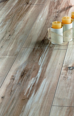 Клен Старый F107